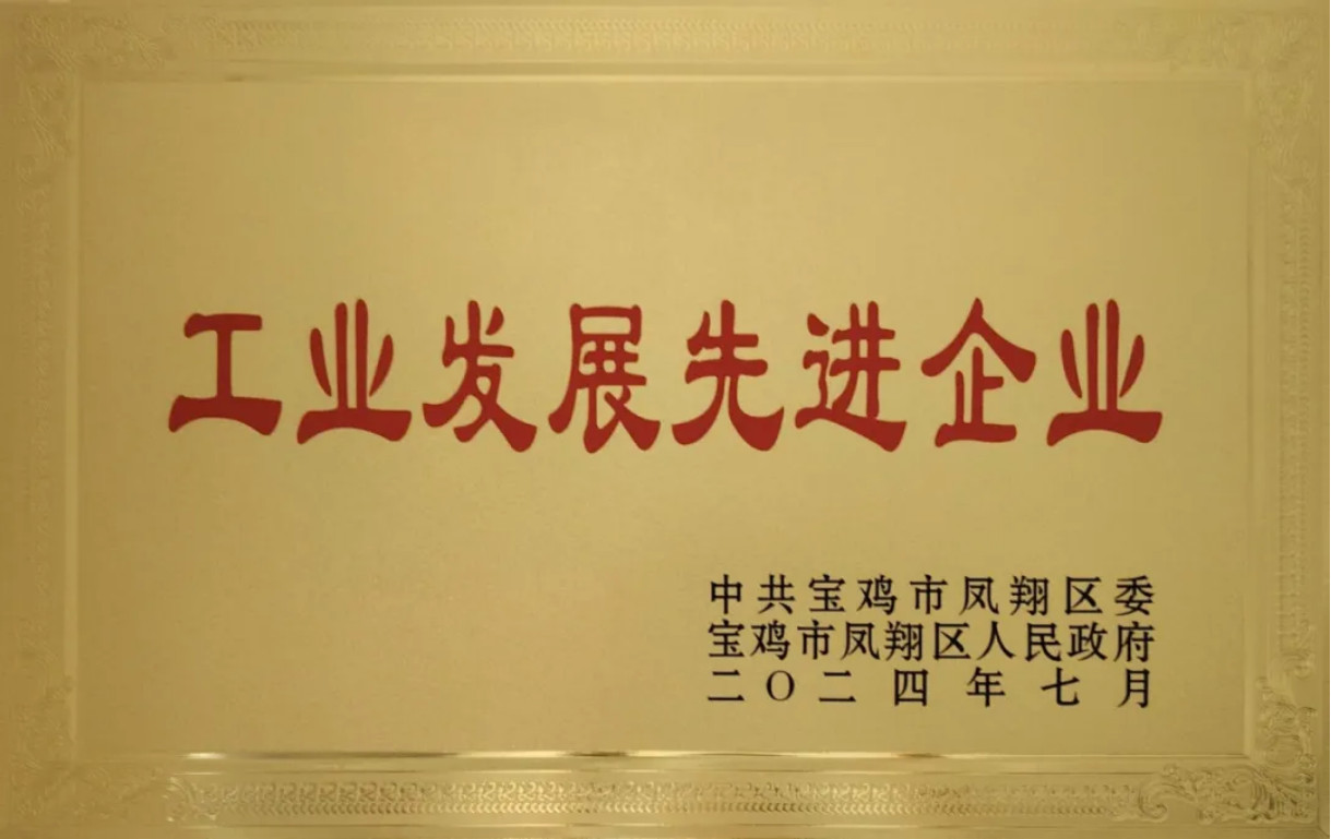 關(guān)中工具公司被鳳翔區(qū)委、區(qū)政府授予“工業(yè)發(fā)展先進(jìn)企業(yè)”